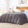 Queen Size All Seasons Plush Light/Dark Grey Reversible Polyester Down Alternative Comforter