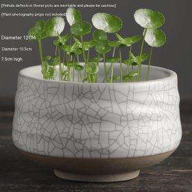 Bowl Lotus Special Basin Non-hole Hydrocotyle Flowerpot Ceramic (Color: White)